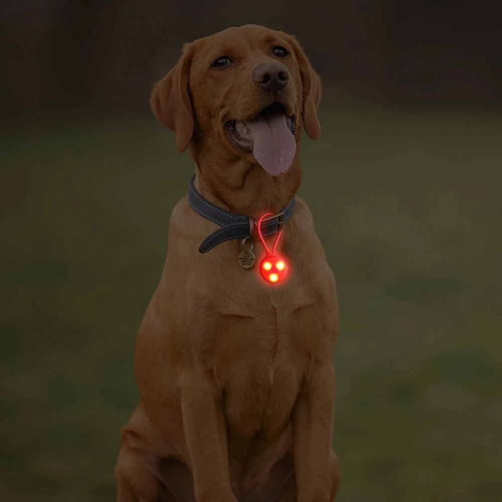 屋外バックパックライトシリコン LED ナイトランニング警告 - Outdoor Lighting Led Strip のレビューと価格